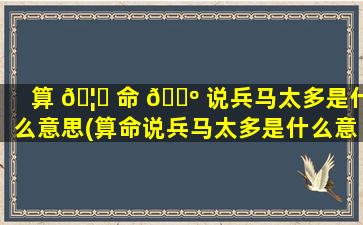 算 🦉 命 🌺 说兵马太多是什么意思(算命说兵马太多是什么意思啊)